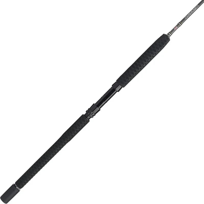 PENN Carnage III Spinning Rod